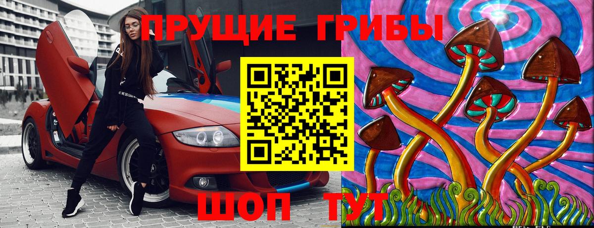 где купить   Вход с VPN  Псилоцибиновые грибы ЛСД  Балашиха  Псилоцибиновые грибы ЛСД 